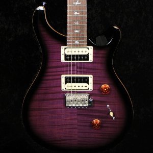 prs-se-custom-image