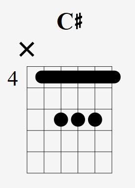 How To Play The C# Chord - Drue James