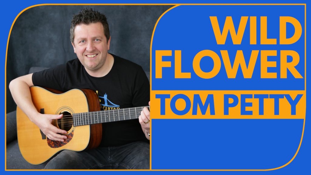 Wildflowers guitar lesson tom petty how to play chords drue james